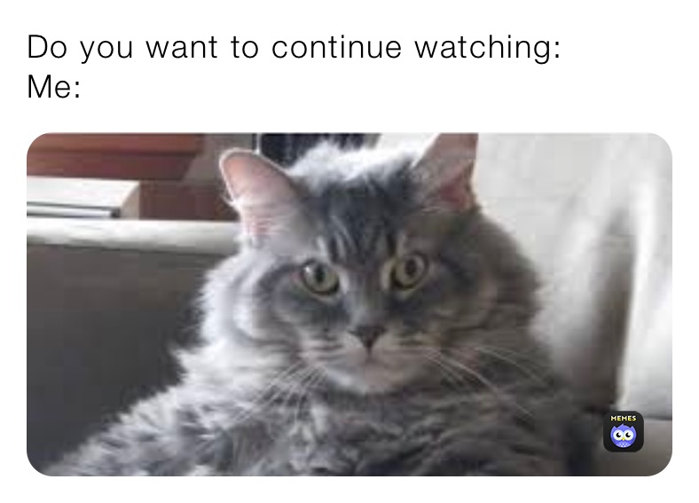 Meme by PaddySmith5213