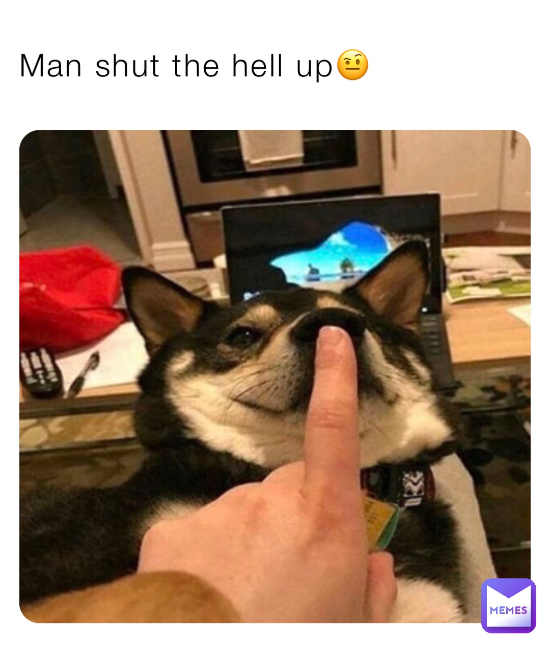 Man shut the hell up🤨