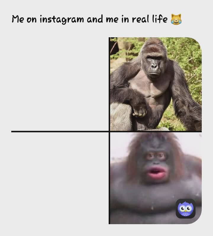 Meme by xx.Naruto.xx