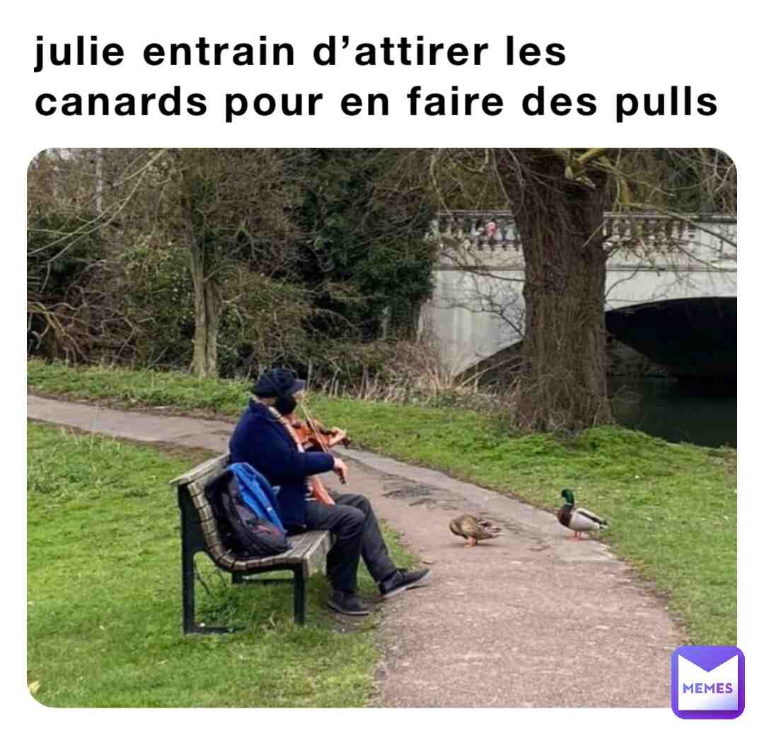 Meme shared by @leacrtn
