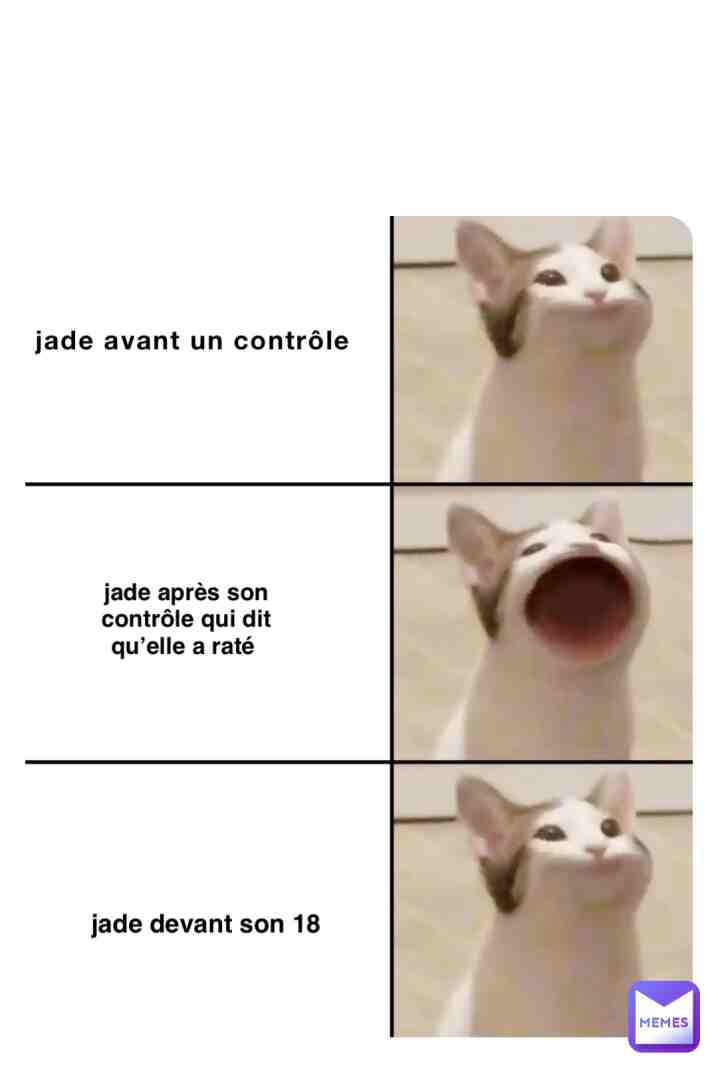 Meme shared by @leacrtn