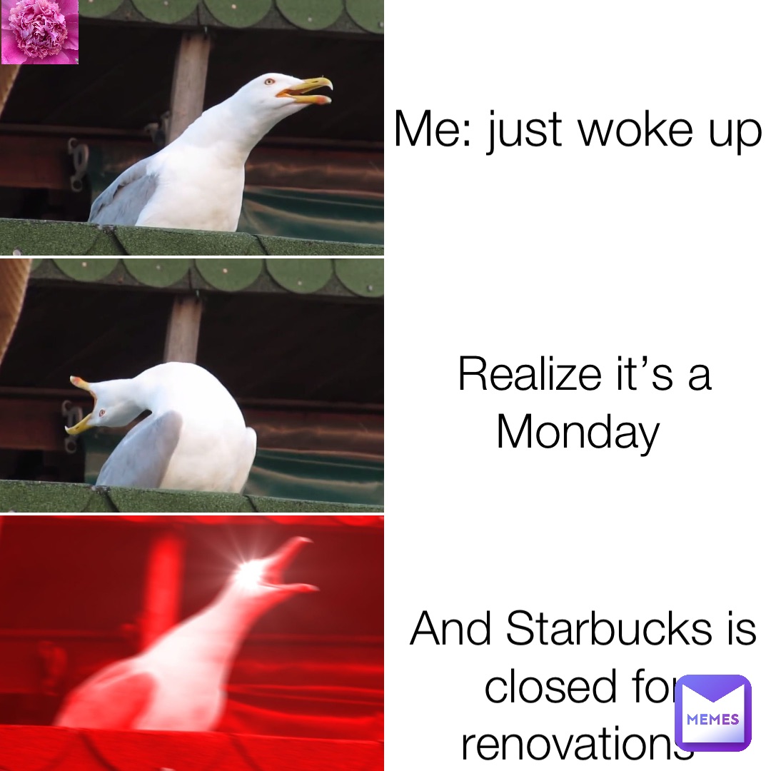 Me: just woke up Realize it’s a Monday And Starbucks is closed for renovations