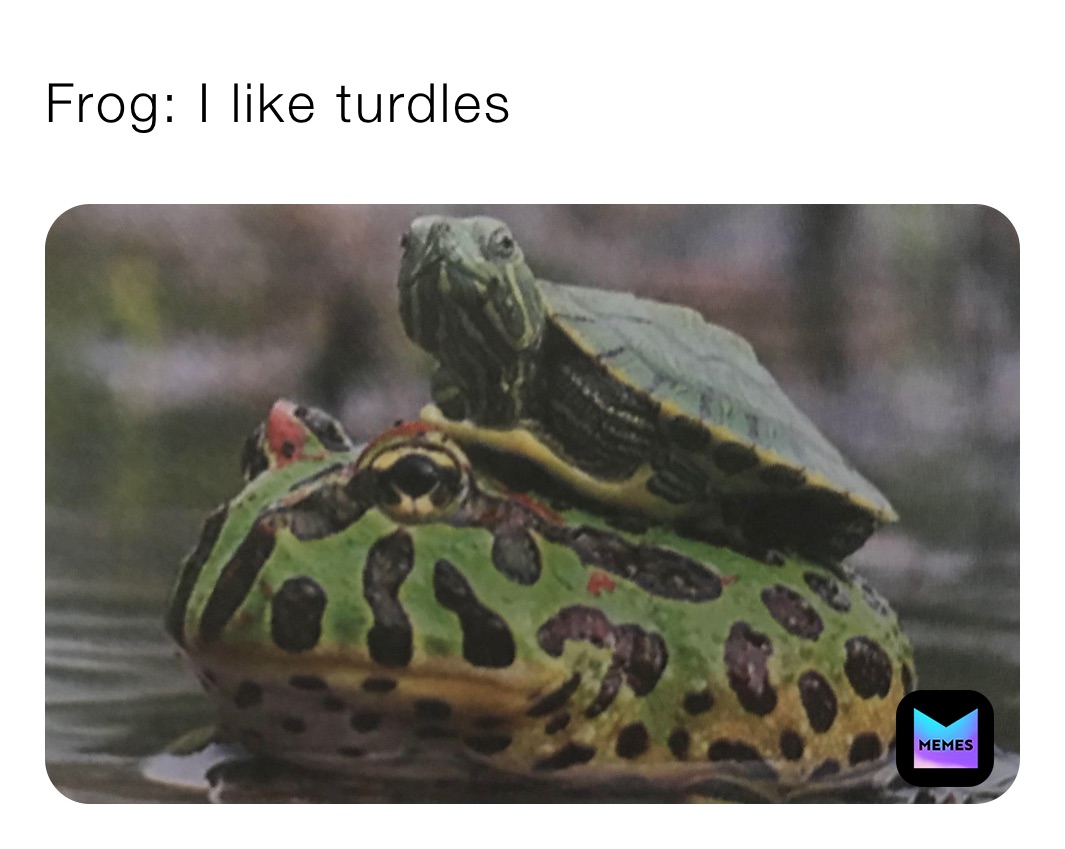 Frog: I like turdles 