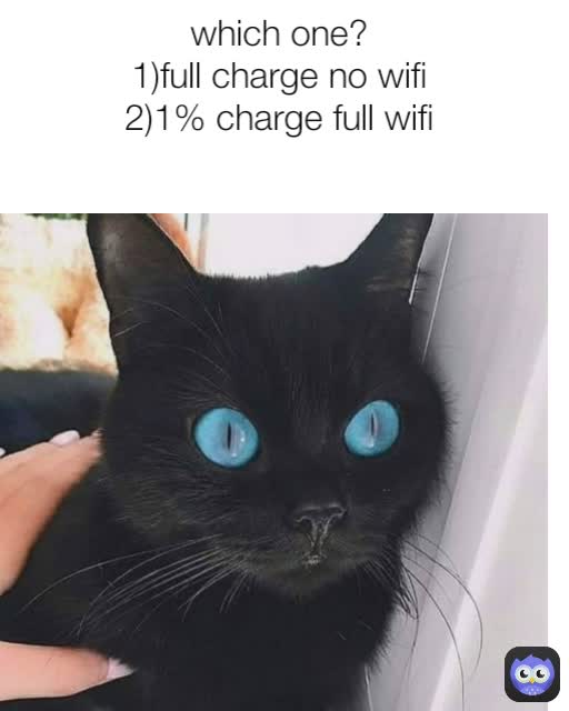 which one?
1)full charge no wifi
2)1% charge full wifi