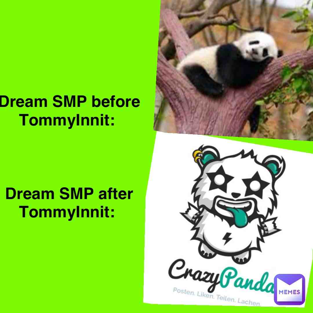 Too true # # #meme #true #dreamsmp #tommyinnit