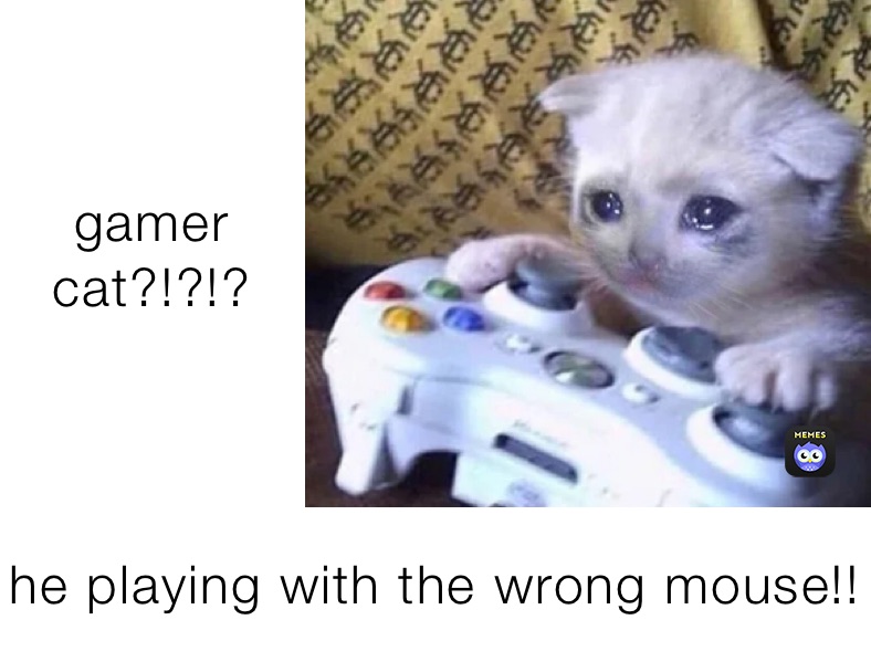 Gamer Cat He Playing With The Wrong Mouse Itchymunky Memes