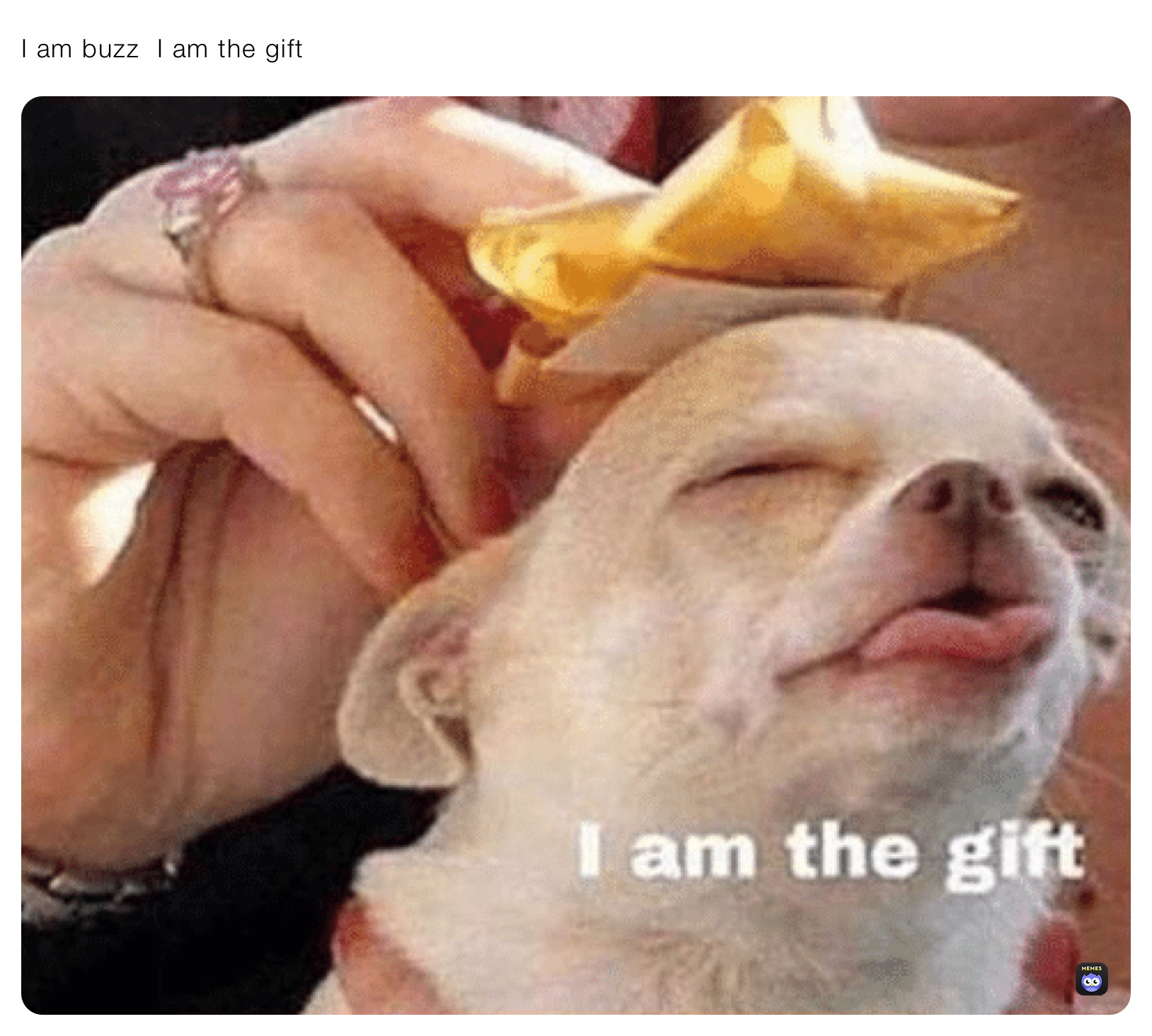 I am buzz  I am the gift