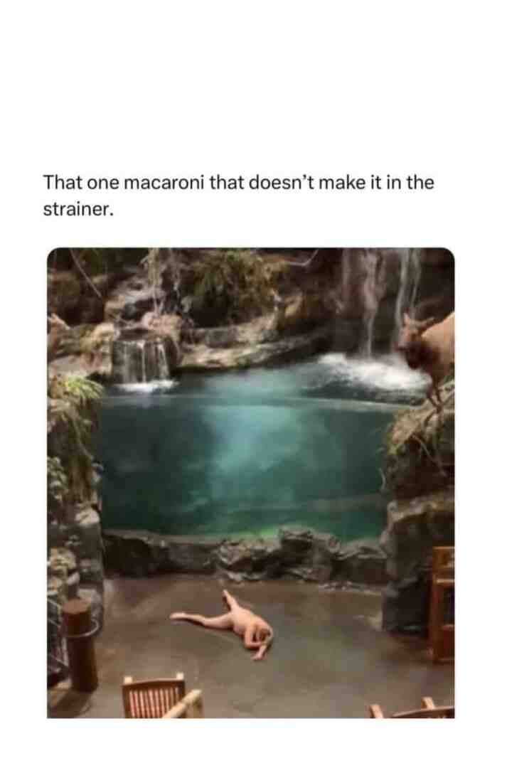 Meme shared by @Terdfact51