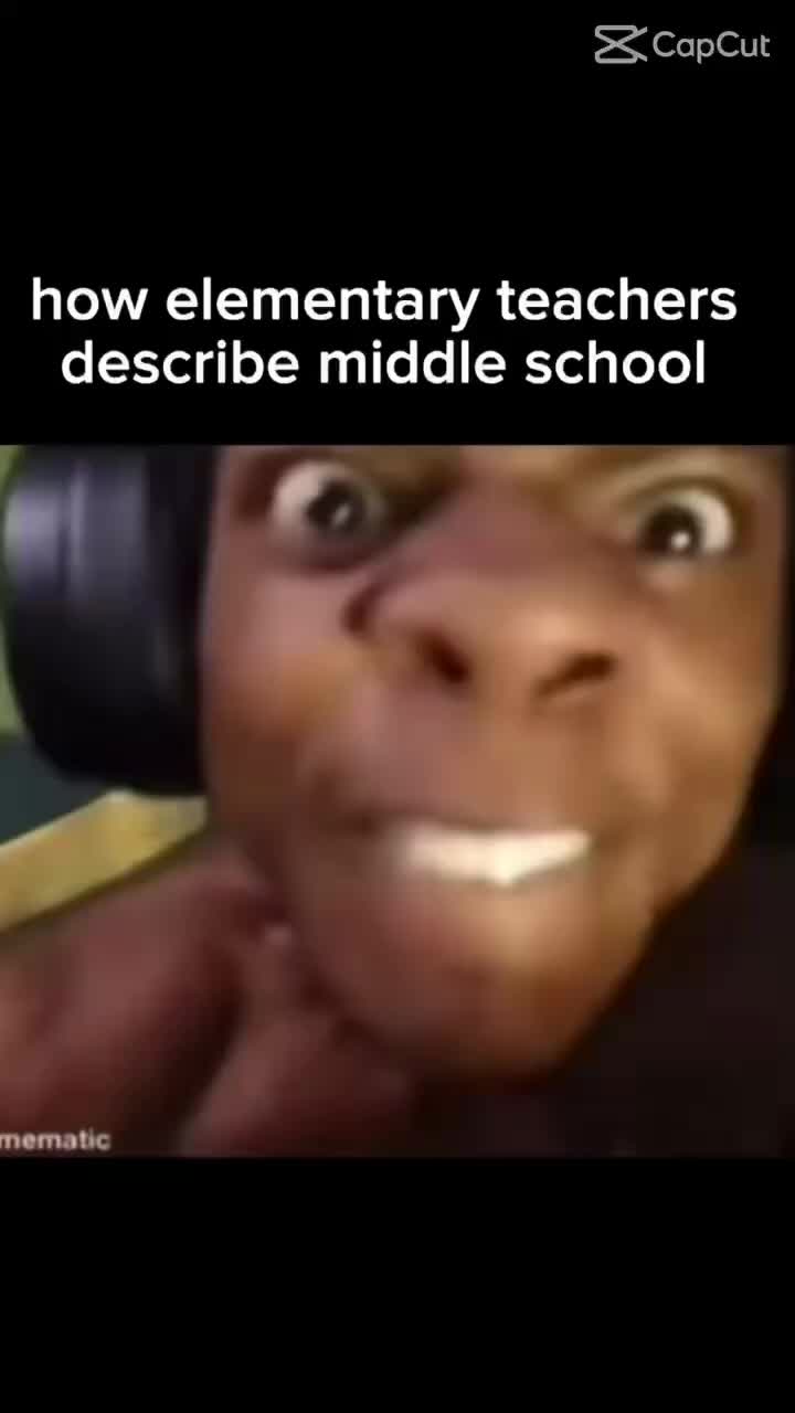 Meme shared by @Terdfact51
