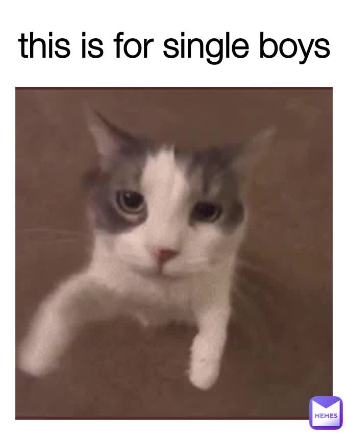 This Is For Single Boys 1665202482 Memes this-is-for-single-boys-1665202482-memes