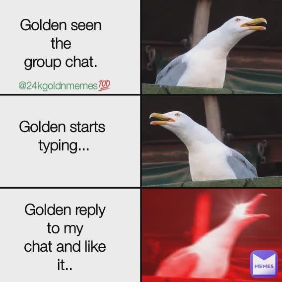 Golden seen the
group chat. Golden starts 
typing... Golden reply to my
chat and like it.. @24kgoldnmemes💯