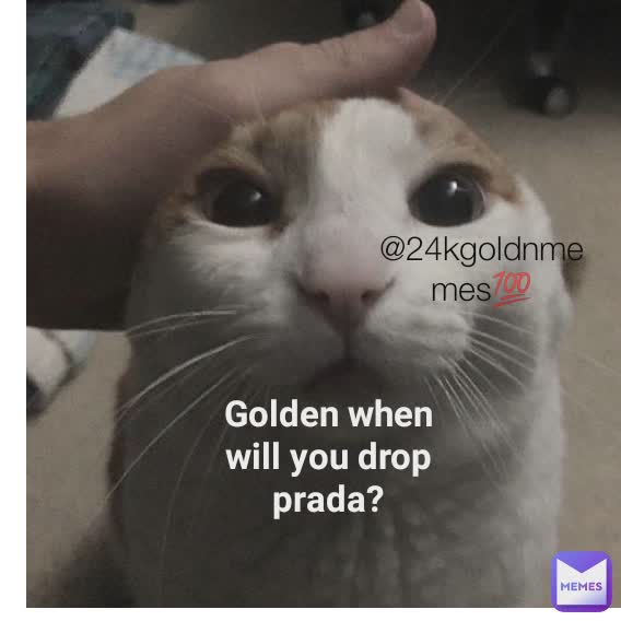 Golden when will you drop prada? @24kgoldnmemes💯