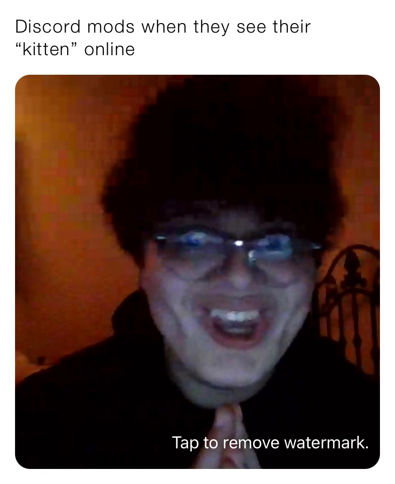 Discord mods when they see their “kitten” online