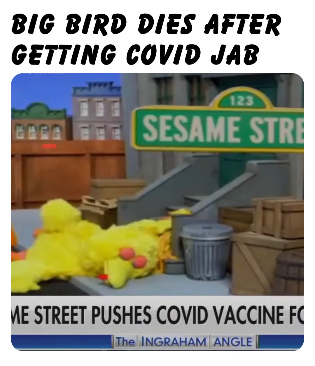 Big Bird dies after getting Covid Jab