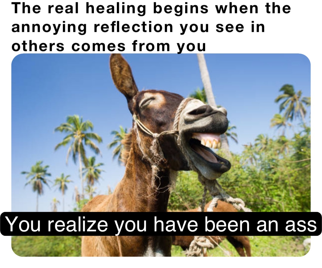 The real healing begins when the annoying reflection you see in others comes from you You realize you have been an ass