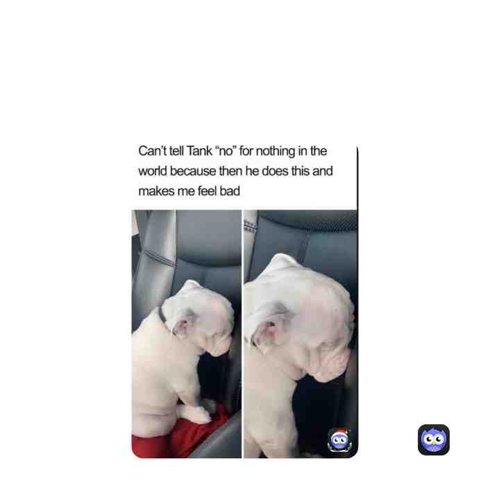 Meme preview