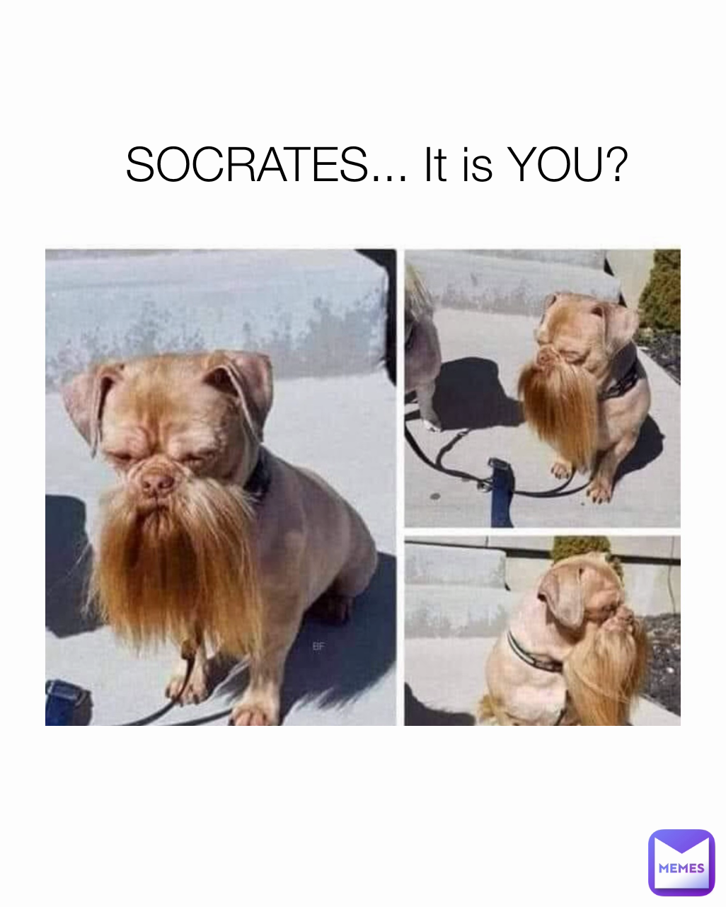 SOCRATES... It is YOU?