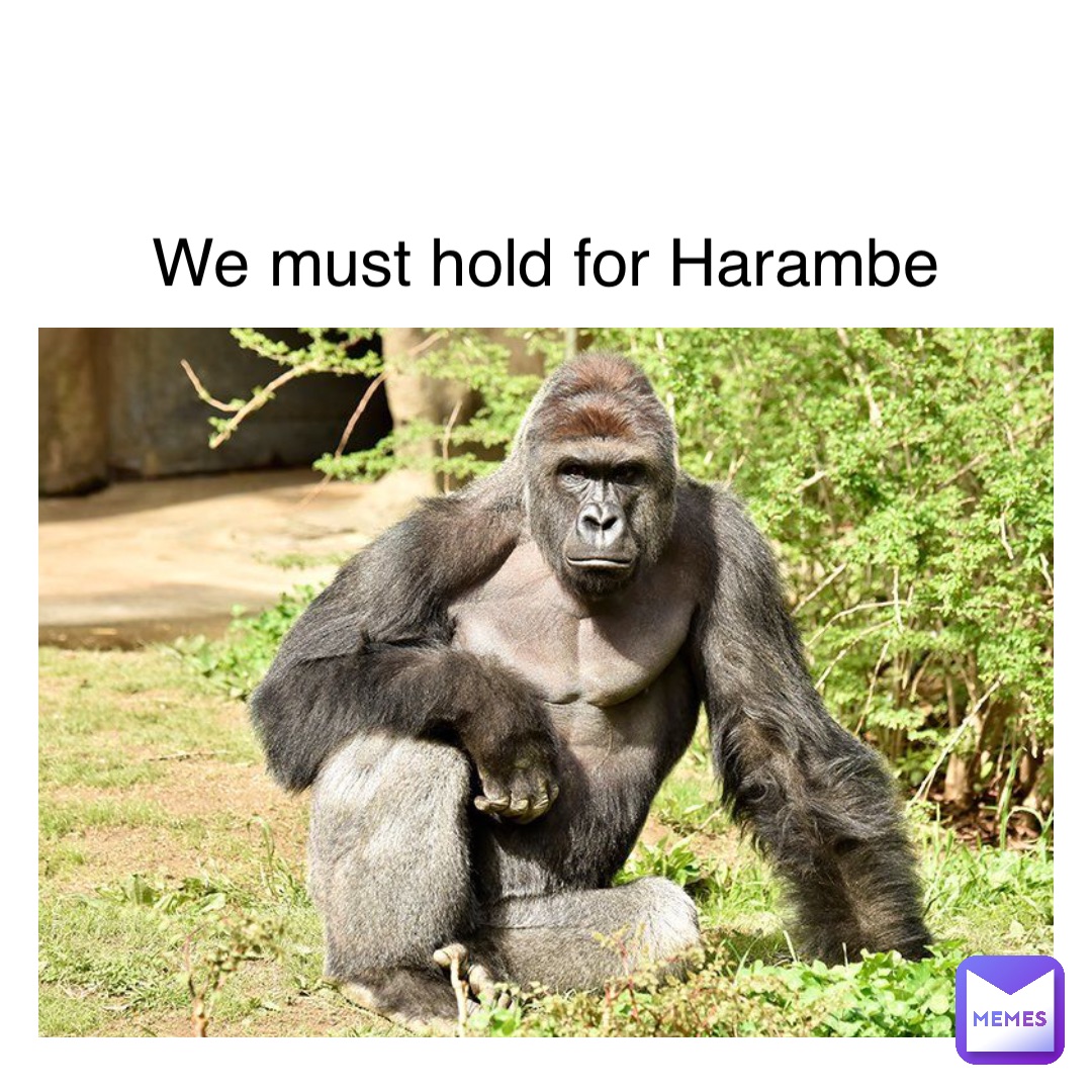 We must hold for Harambe