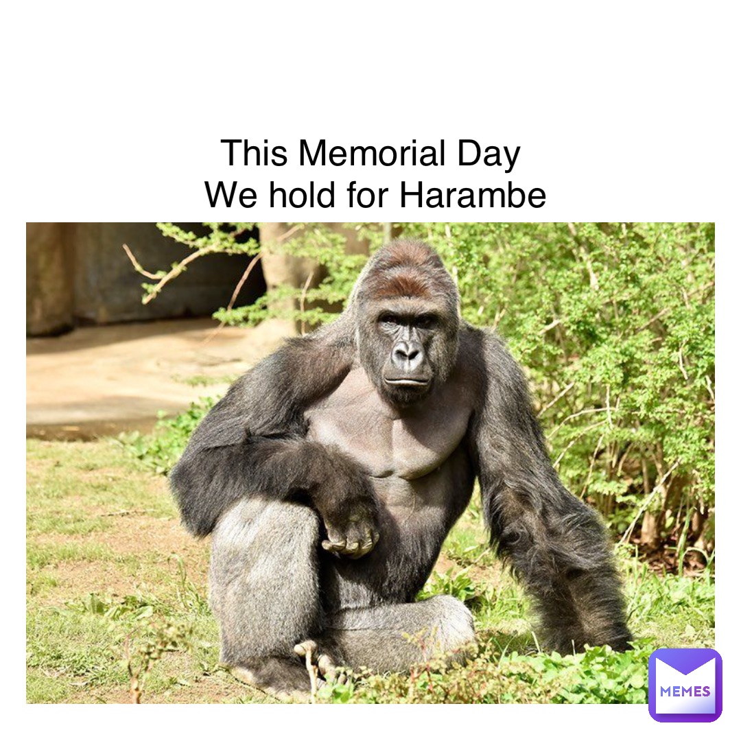 This Memorial Day
 We hold for Harambe