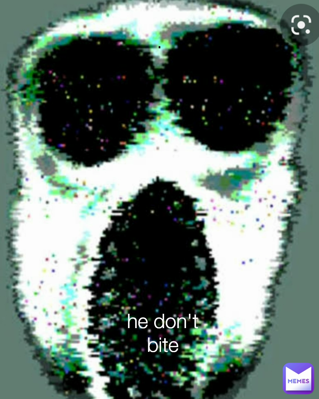 . he don't bite