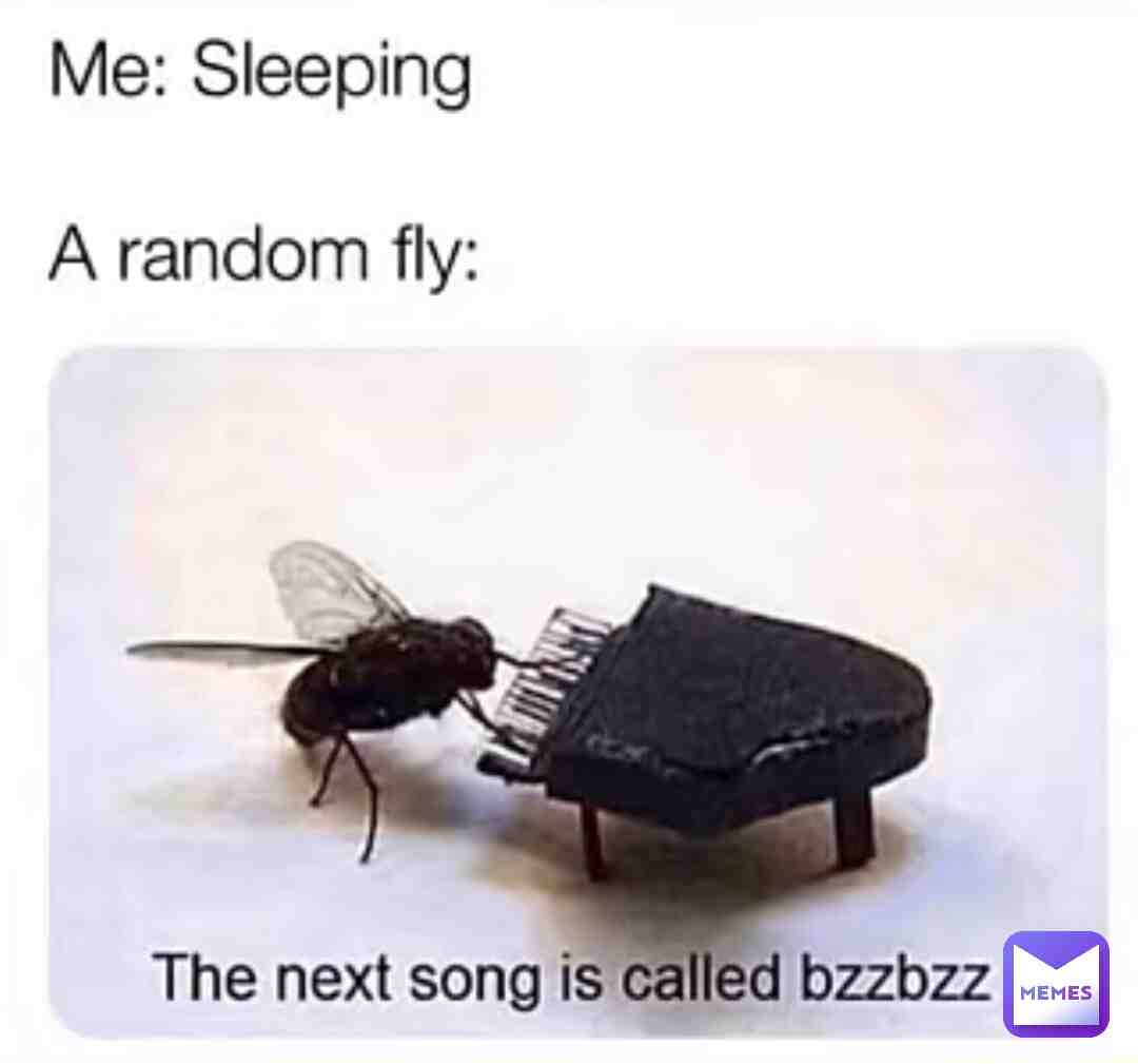 #memes # #bad #humans #flys #shit #fly