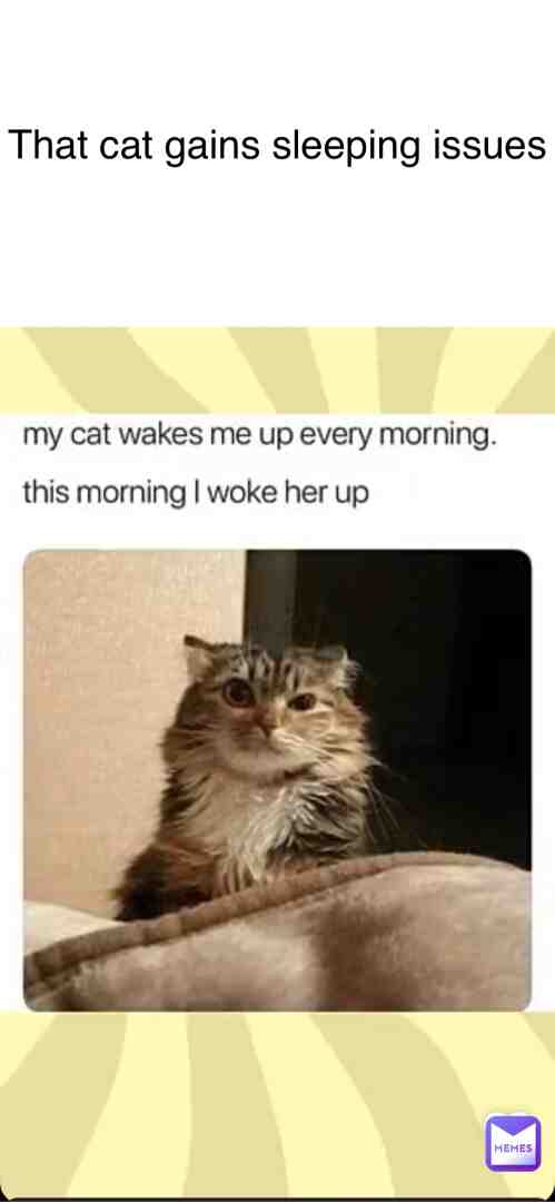 #memes  #lol  #haha  #bad  #cats
