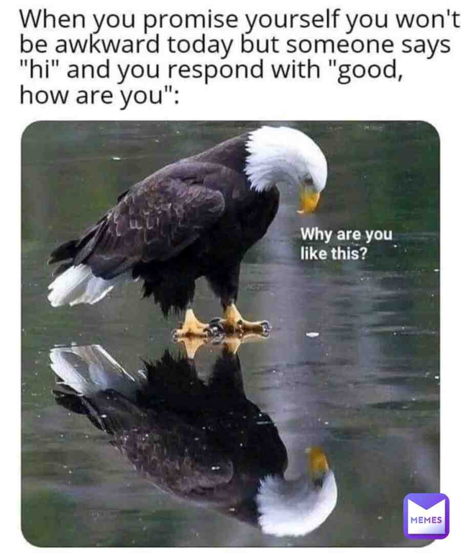 #memes  # #bad