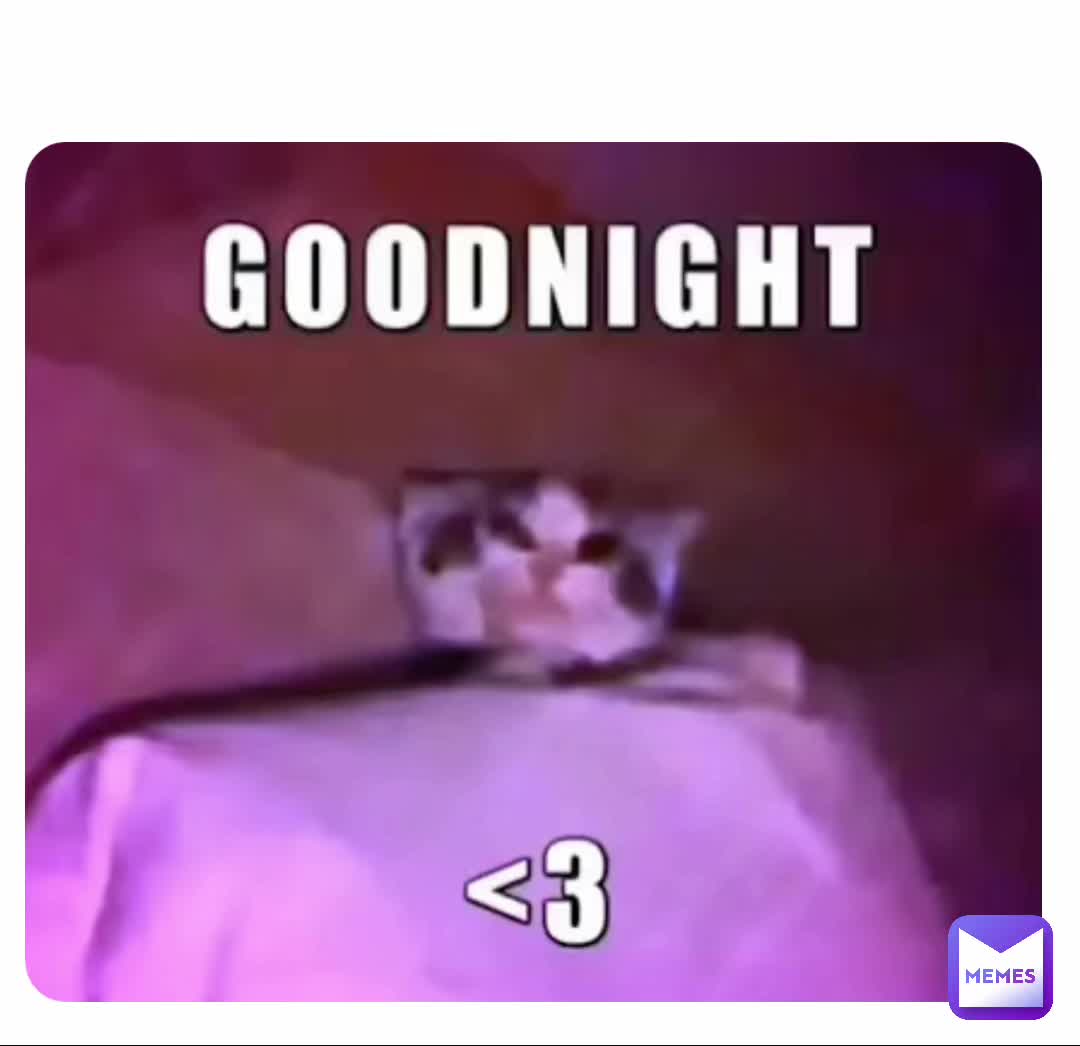 #lol  #cats   #bed