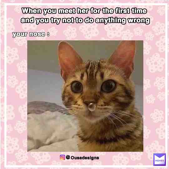 yep true #ousadesigns #fauuny #fauunycats #cats #cats #catsofinstagram #catsarefunny #catsmemes #catsmeme #catsofmemes #catsbelike #cats4ever #catstagram #catsareevil #catslover #shitpost #shitmeme #damn #true #truestory #truefacts #cat #catmemes #catlife #catfacts