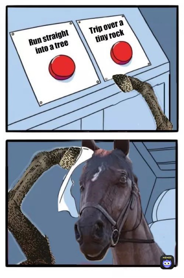 Meme by the_local_cowpoke