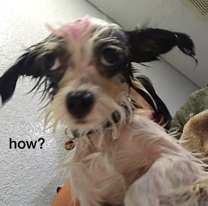 Meme by gerber_baby_doe