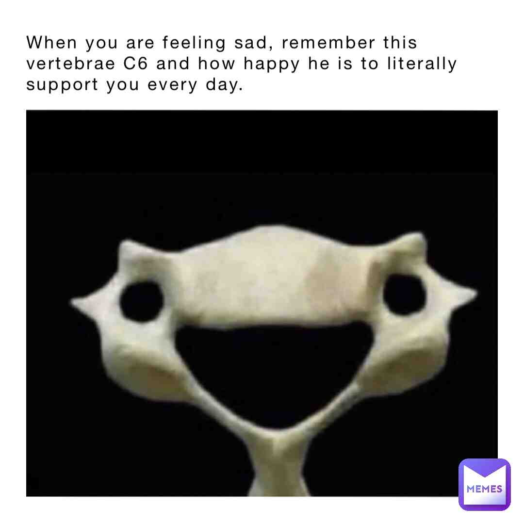 Meme shared by @erasersbiggistfan