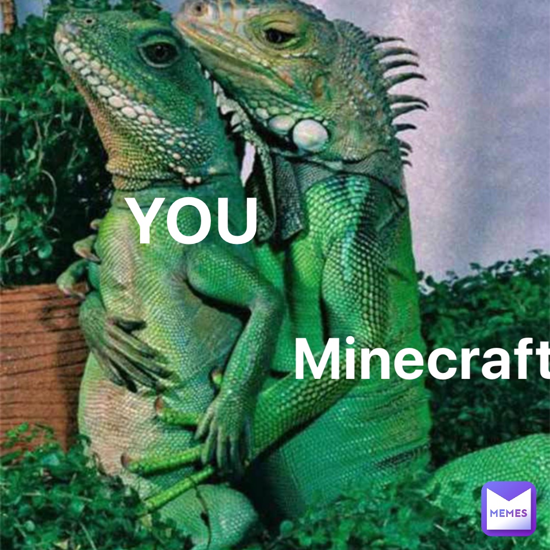 YOU Minecraft