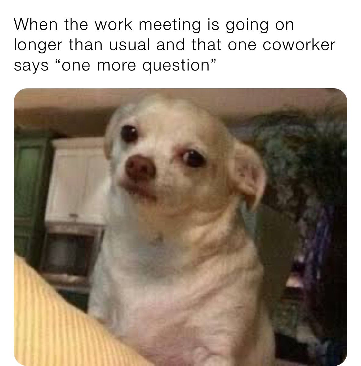 business meeting meme