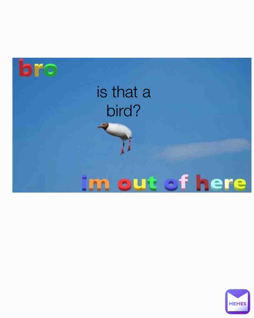 Idk is that a bird