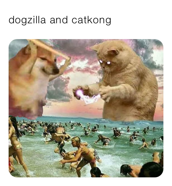 dogzilla and catkong 