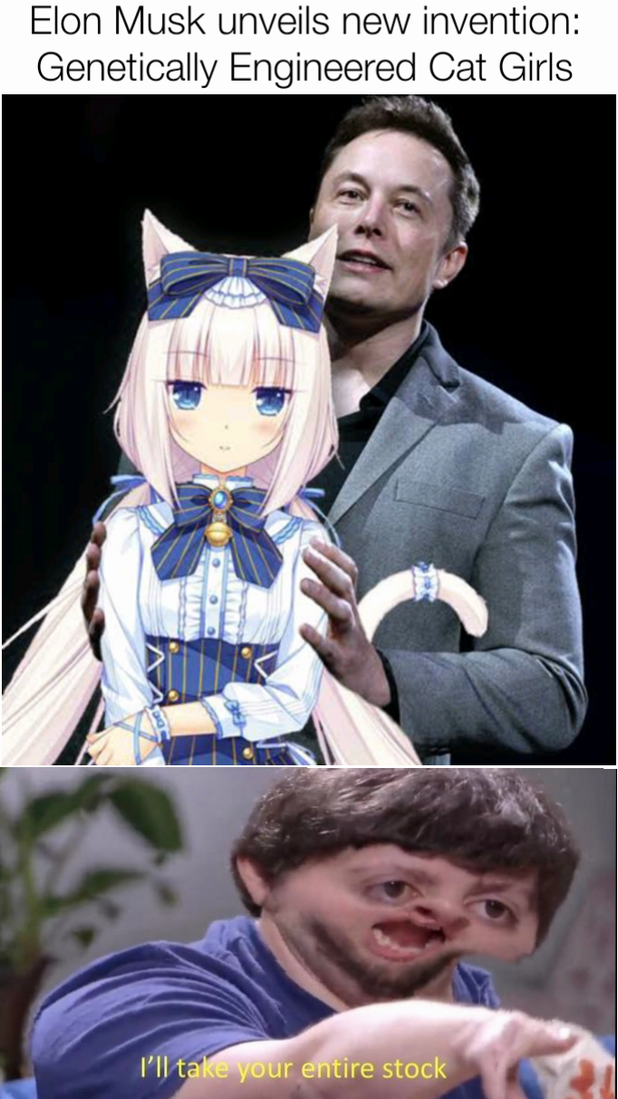 Elon Musk unveils new invention: Genetically Engineered Cat Girls