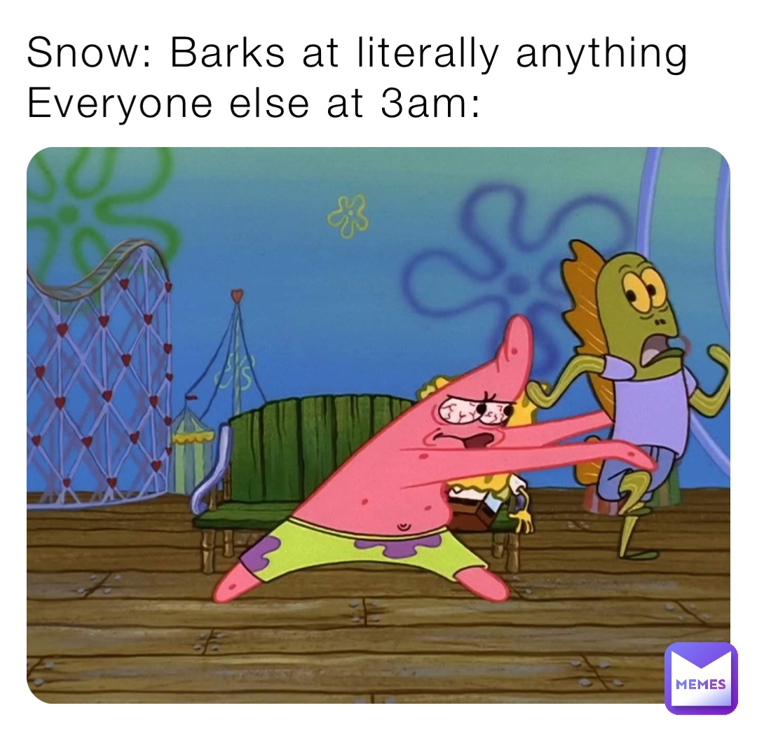 Snow: Barks at literally anything
Everyone else at 3am: