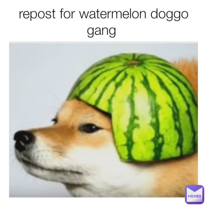 repost for watermelon doggo gang 