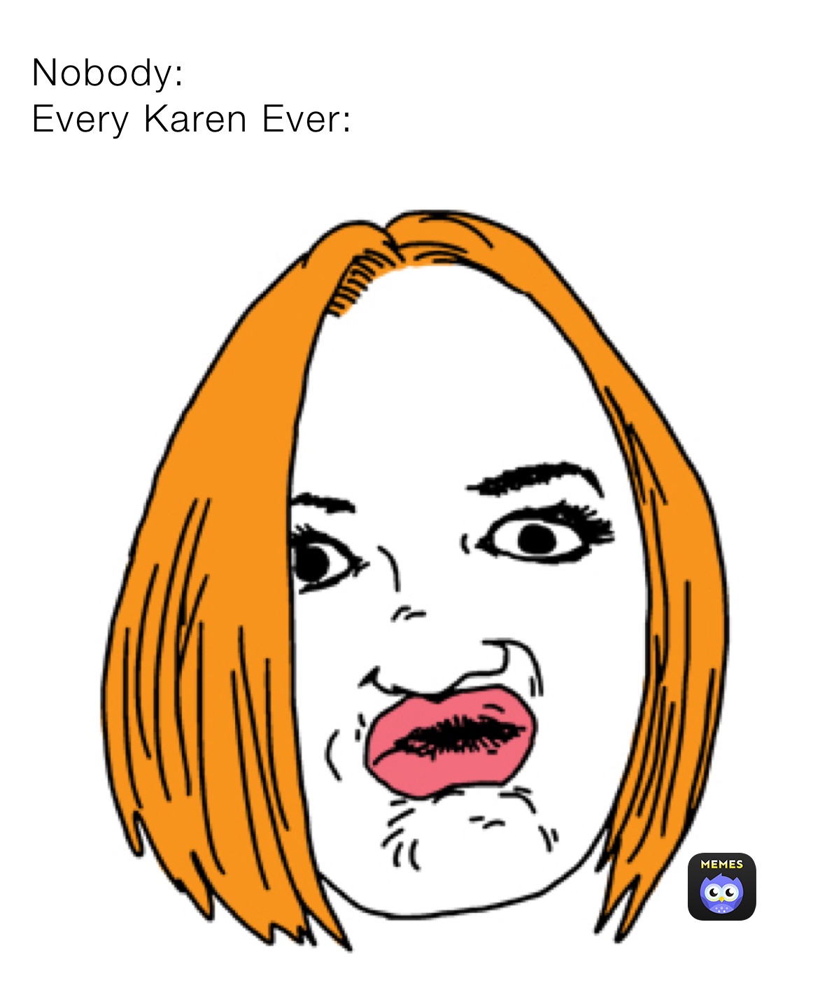 Nobody: 
Every Karen Ever:
