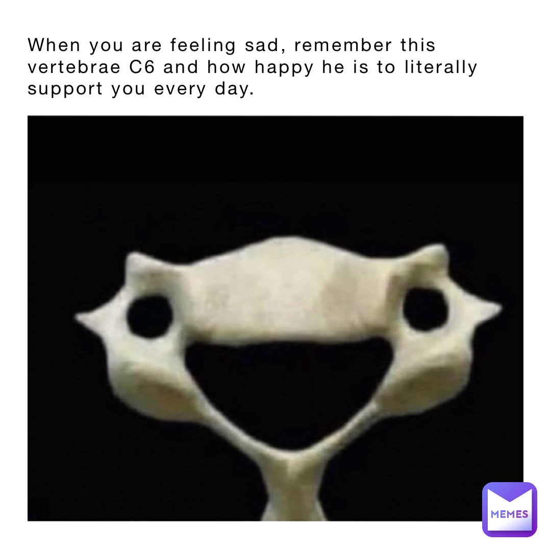 When you are feeling sad, remember this vertebrae C6 and how happy he is to literally support you every day.