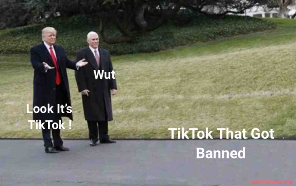 Why did it get banned tho  #tiktok  #tiktokbanned