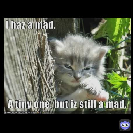 Meme by bigduffstuff