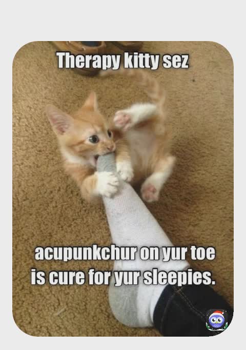 Meme by bigduffstuff