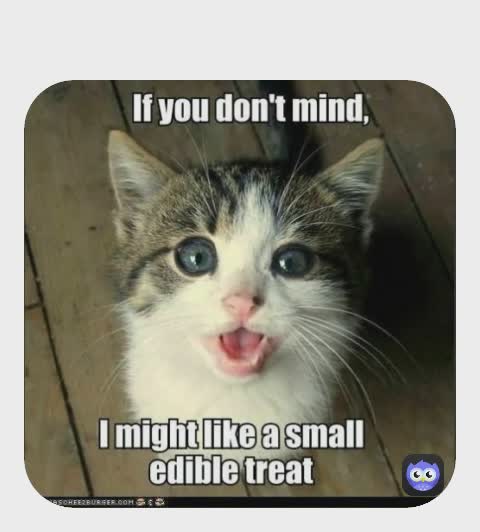 Meme by bigduffstuff