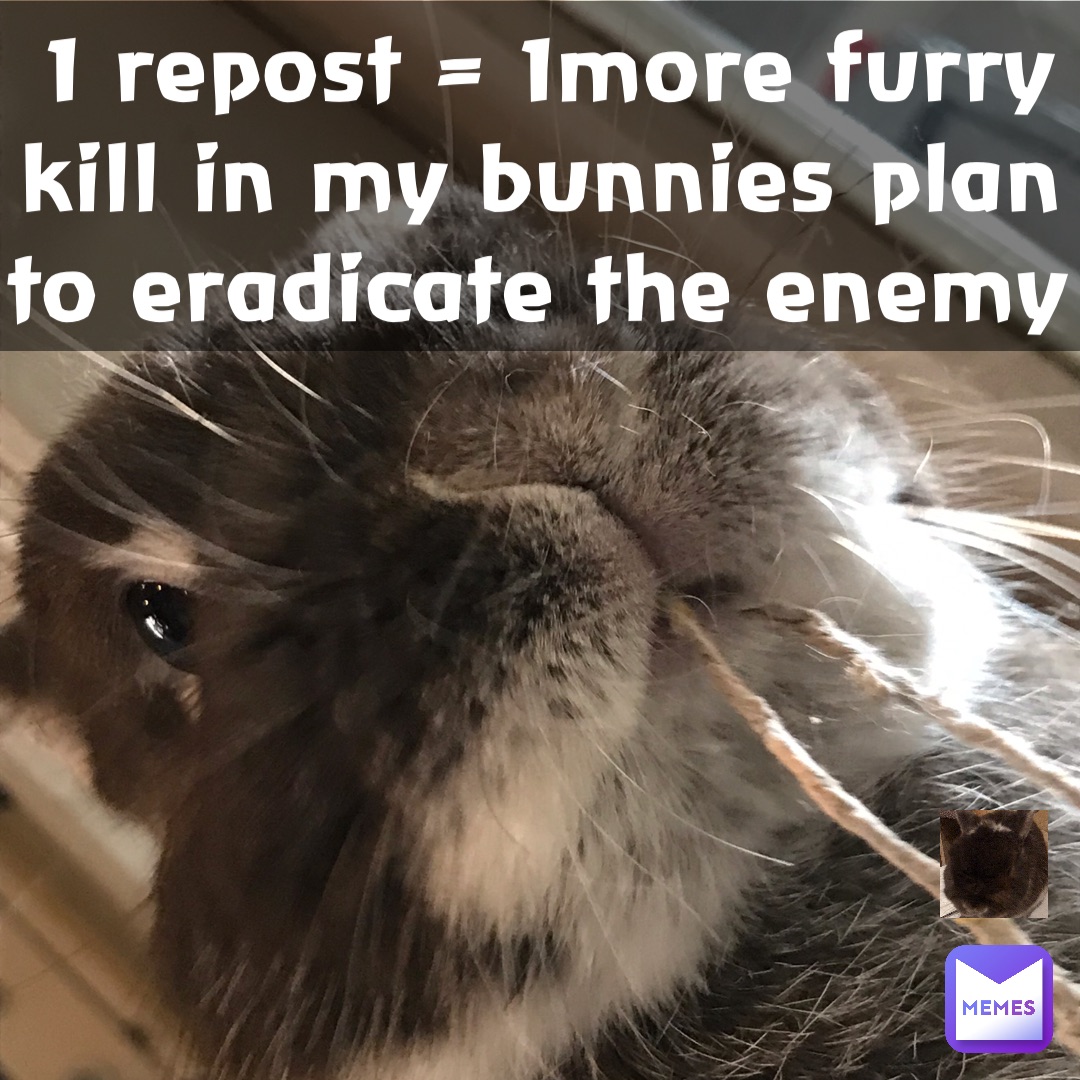 1 repost = 1more furry kill in my bunnies plan to eradicate the enemy