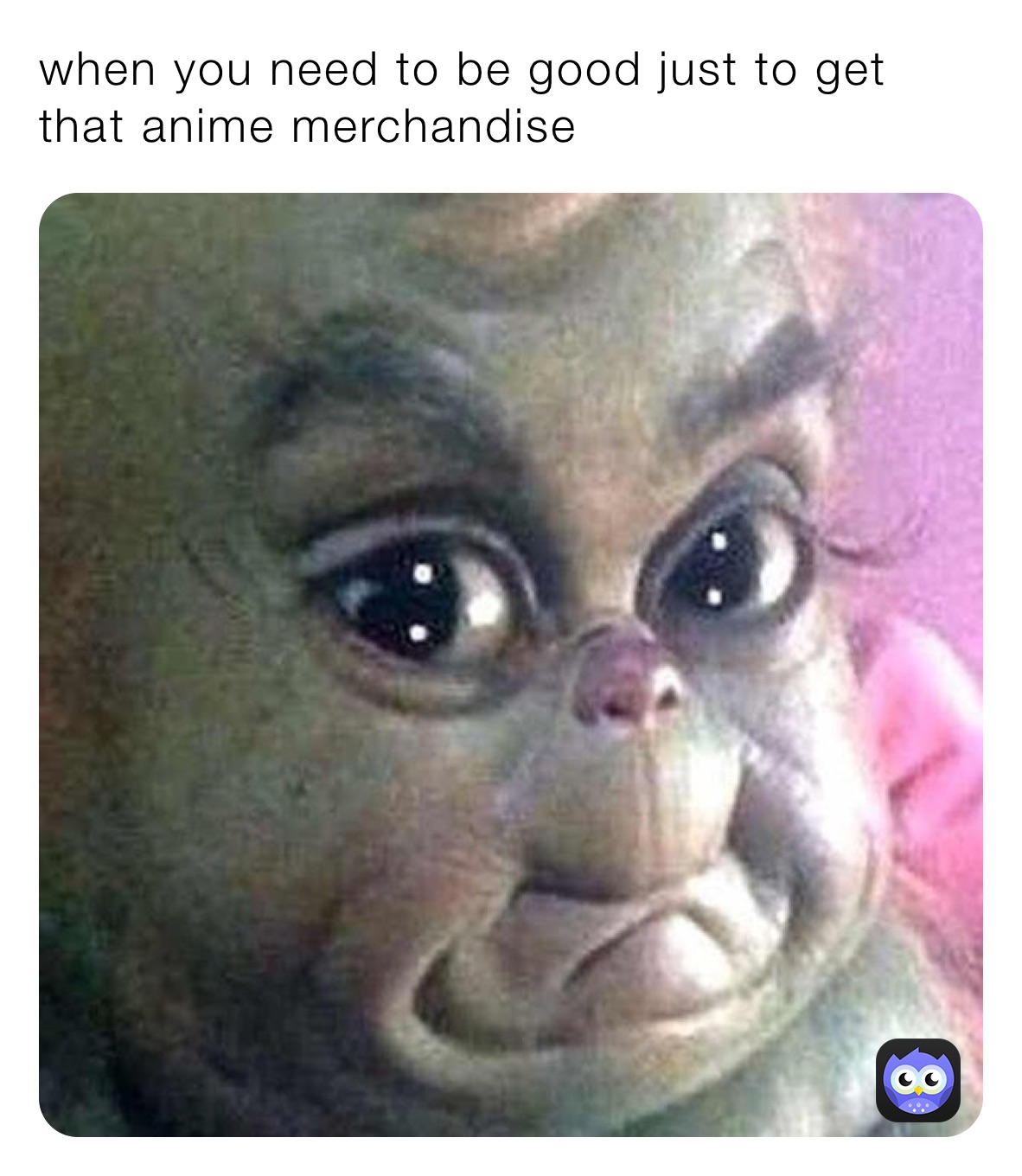 Meme by Shumaila_Raman