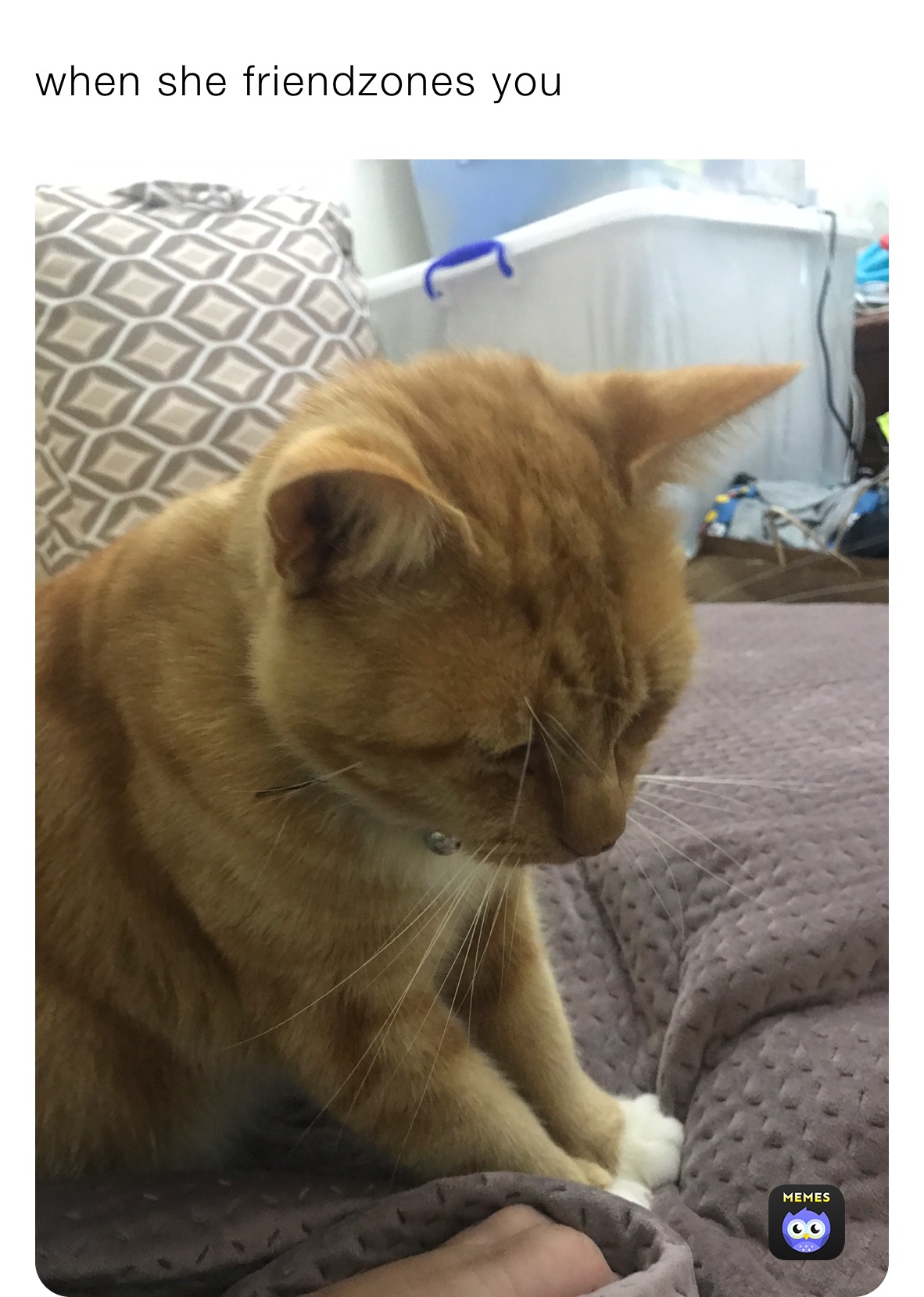 Meme by Shumaila_Raman