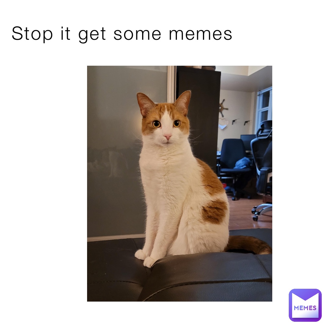 Stop it get some memes