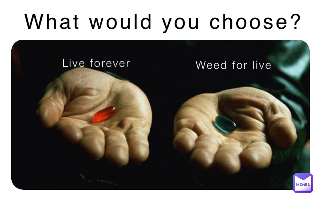 Meme by littlepanther